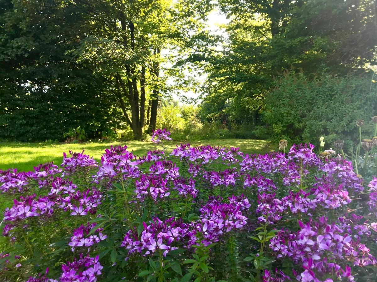 "Un Matin Au Jardin" Bed & Breakfast Francorchamps Exterior photo